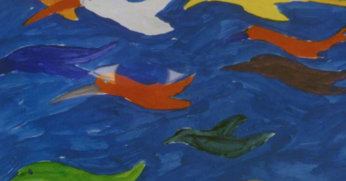 Birdasaurus Colour How the Birds Got Their Colours | NFSA