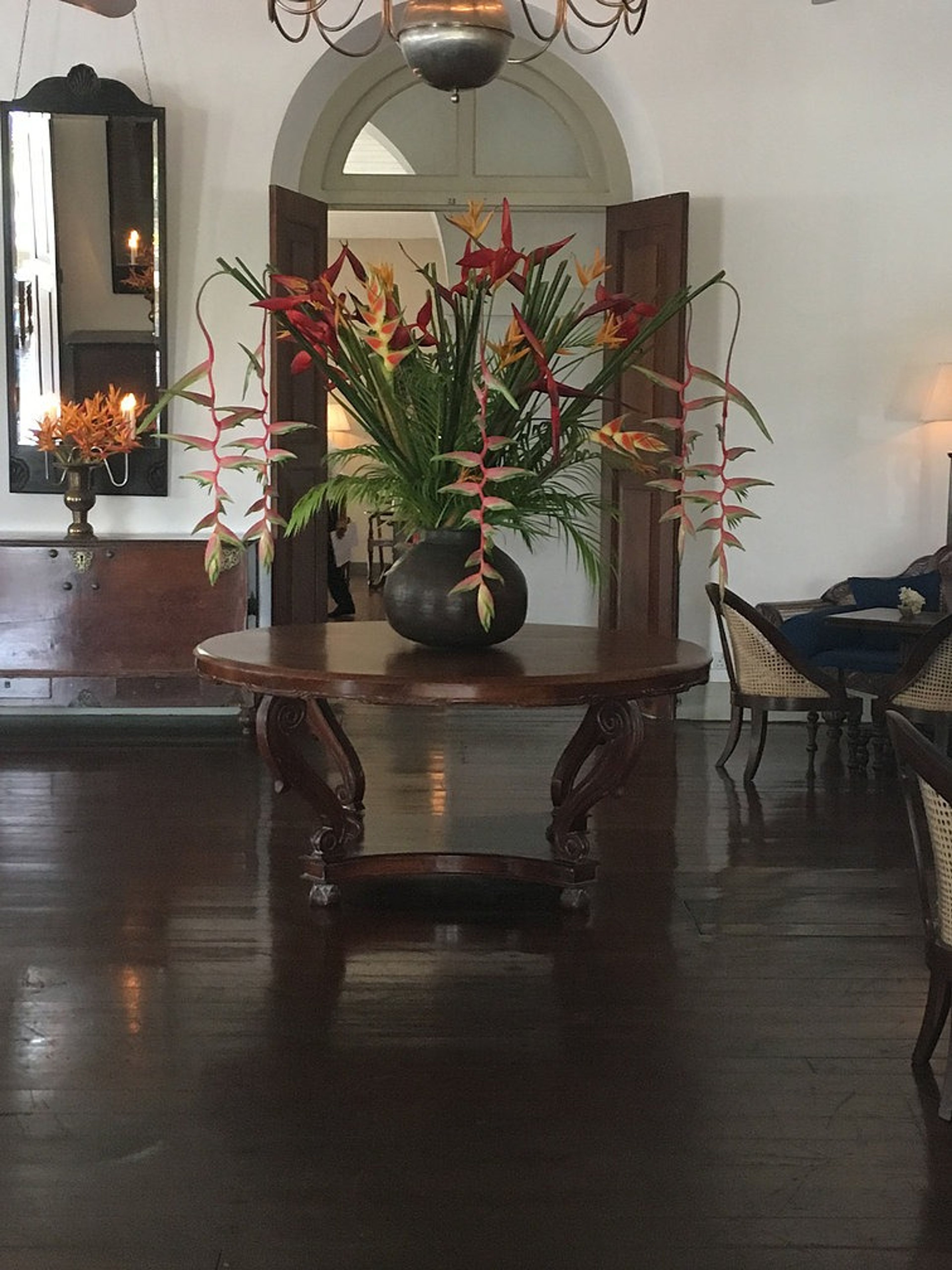 Sri Lanka – letzter Teil