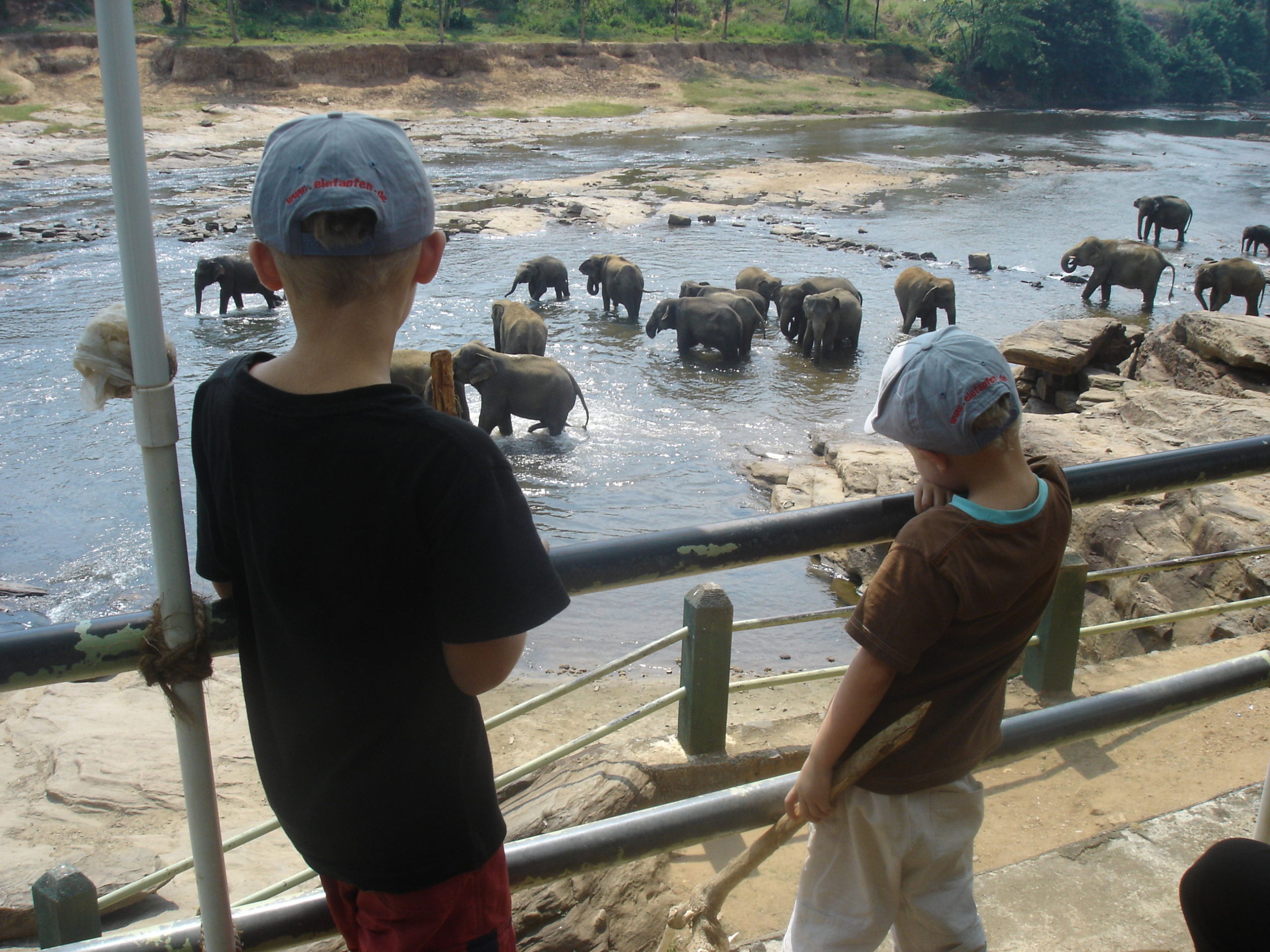 Expat, Expat Coaching