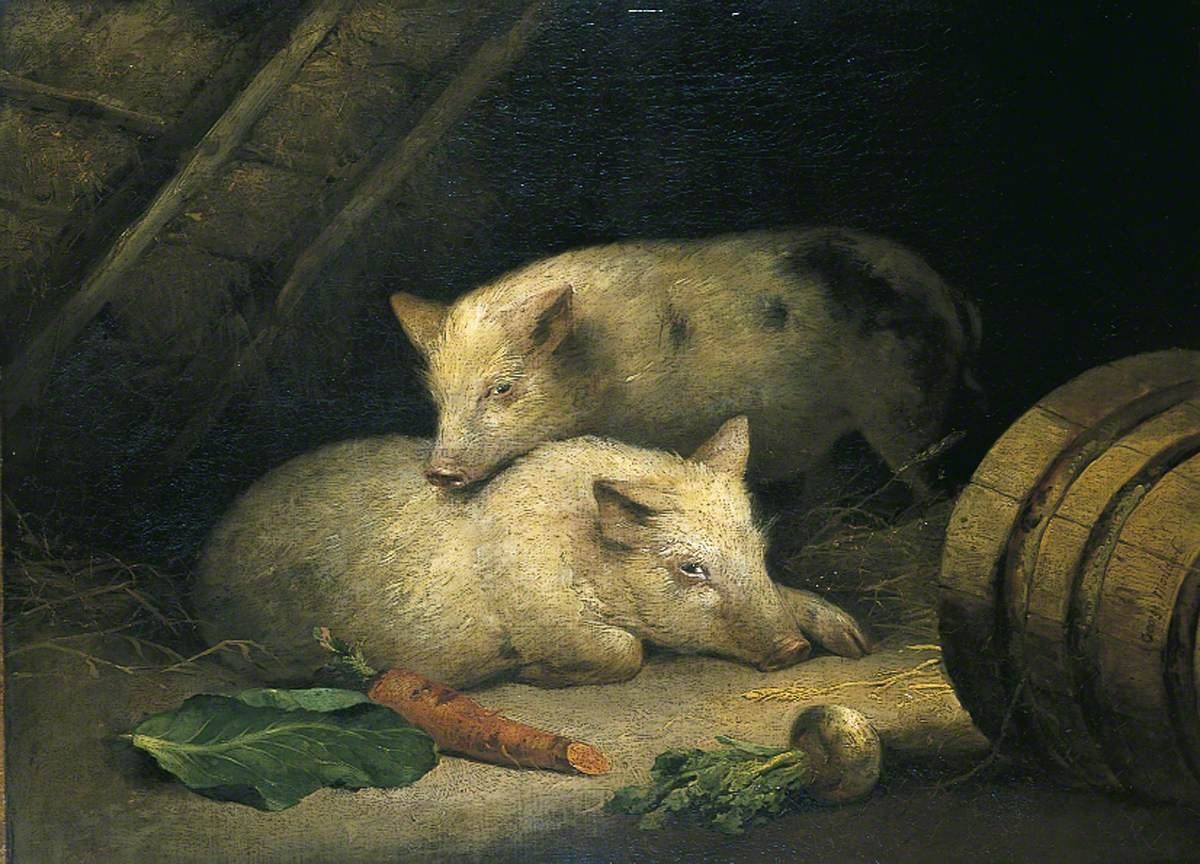 Book Study — Animal Farm