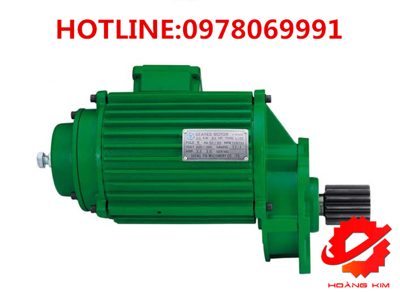 Động cơ dầm biên