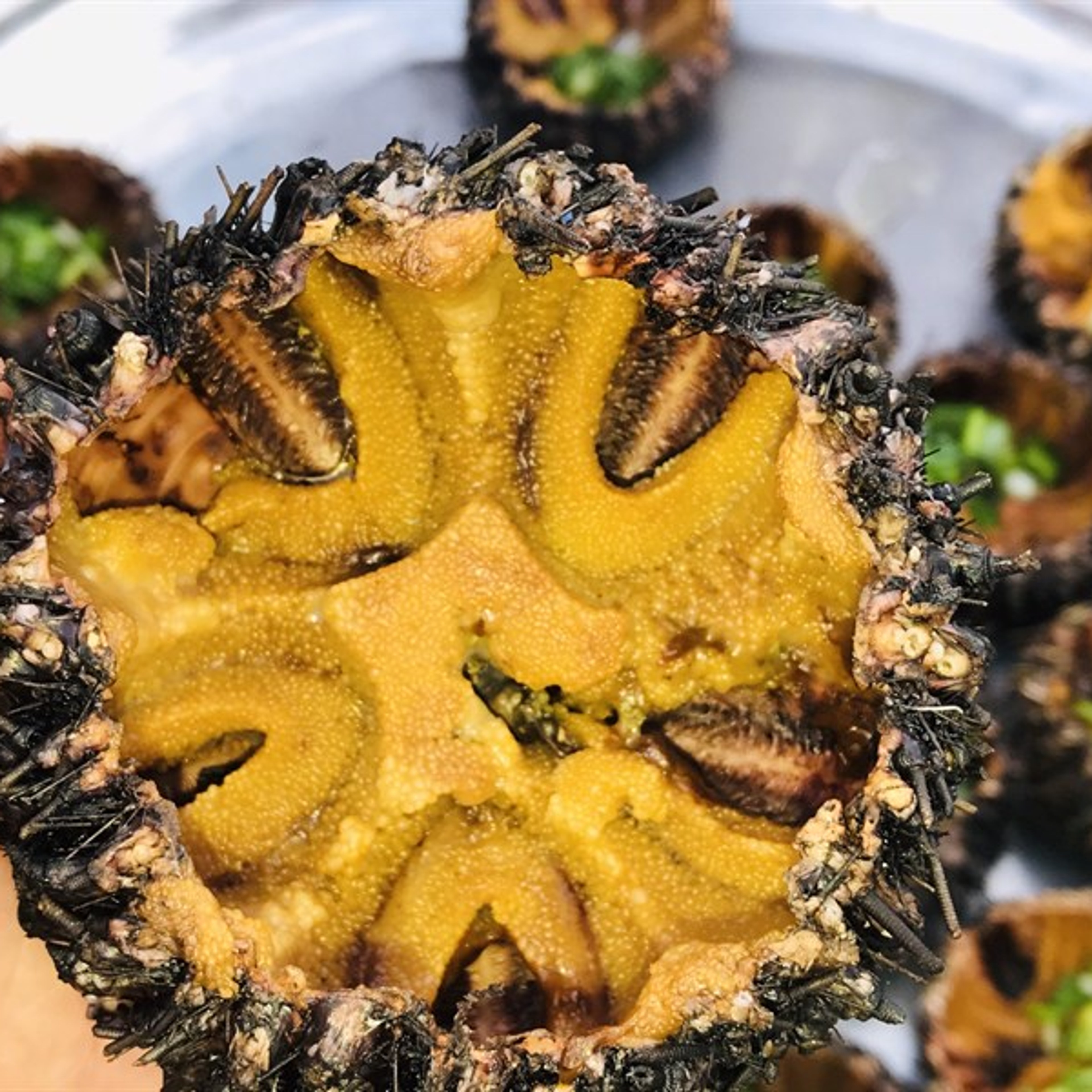 Nhum Nướng tại Nhà Bè Khánh Hào