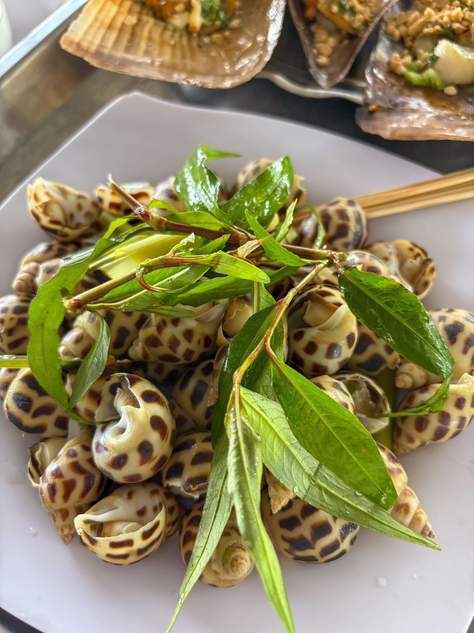 Ốc Hương Hấp tại Nhà Bè Khánh Hào