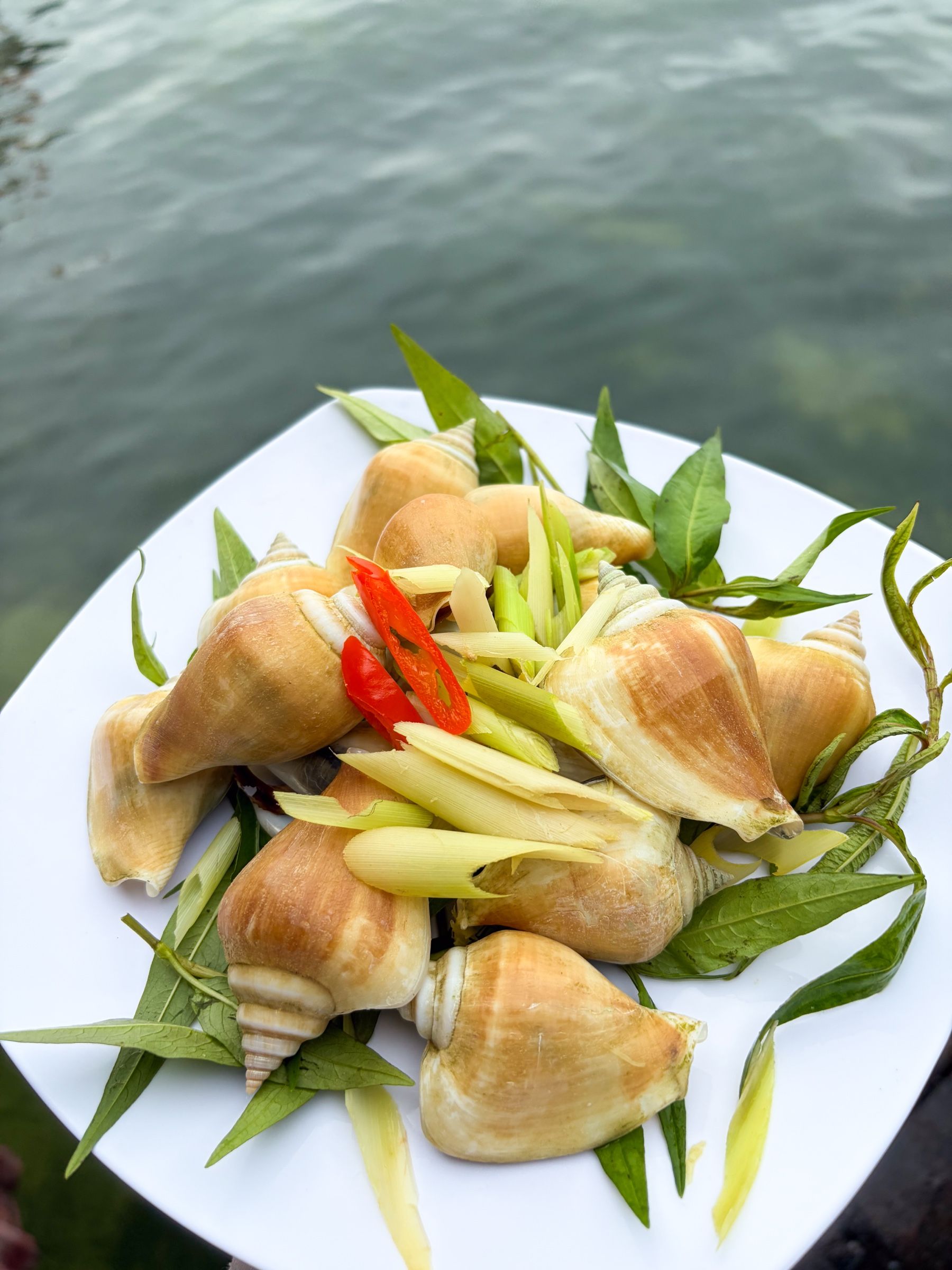 Đĩa ốc nhảy hấp sả, lá chanh và ớt đặt cạnh mặt nước
