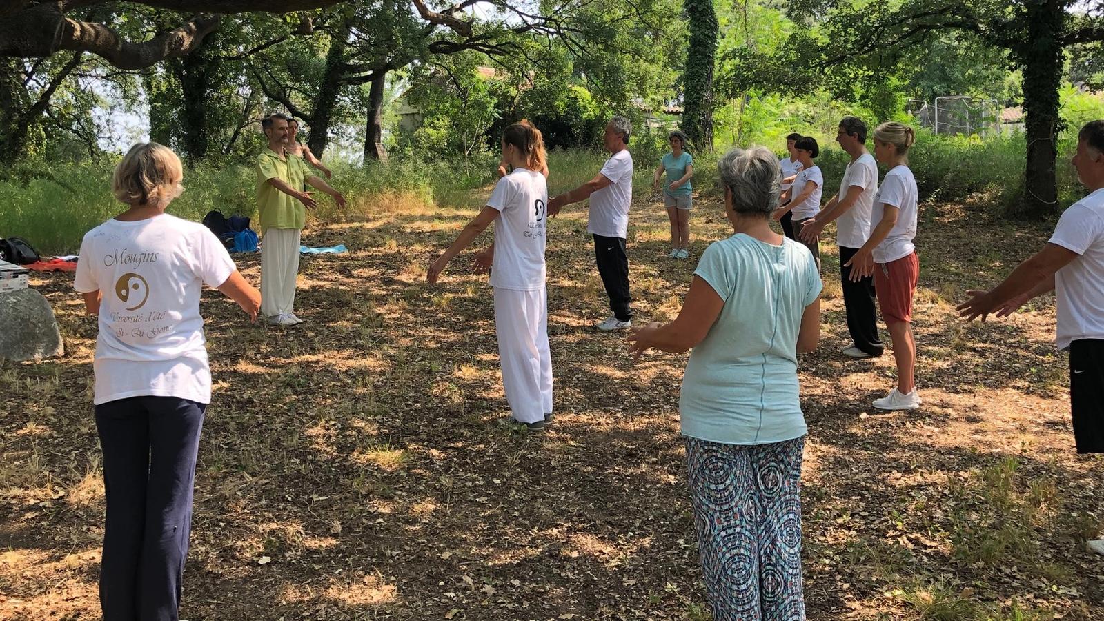 Journée Mondiale du Taiji Qi Gong