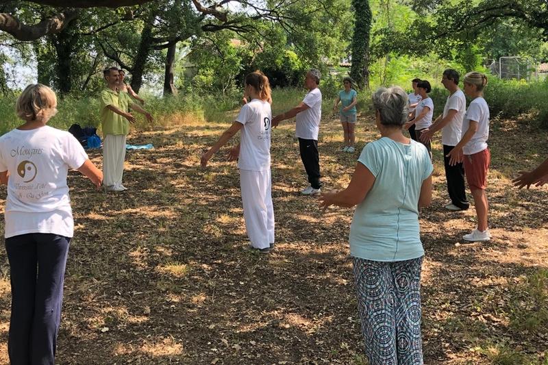 Journée Mondiale du Taiji Qi Gong