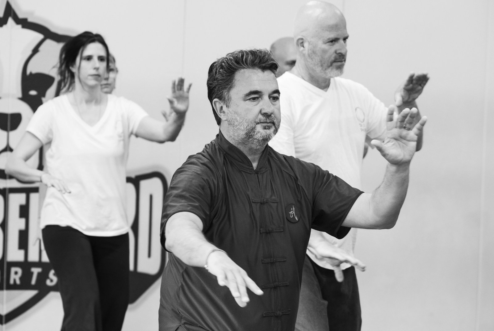 Taiji Sphère Academy - présentation