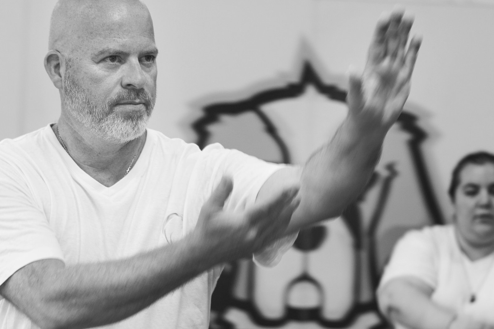 Taiji Sphère academy. Les élèves