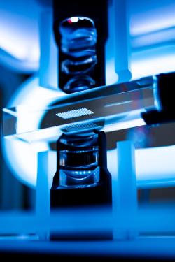 Missing alternative text