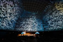 Missing alternative text