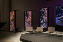 Missing alternative text