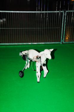 Missing alternative text