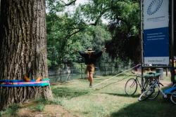 Missing alternative text