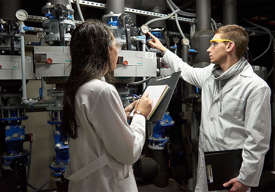 Campo laboral del programa