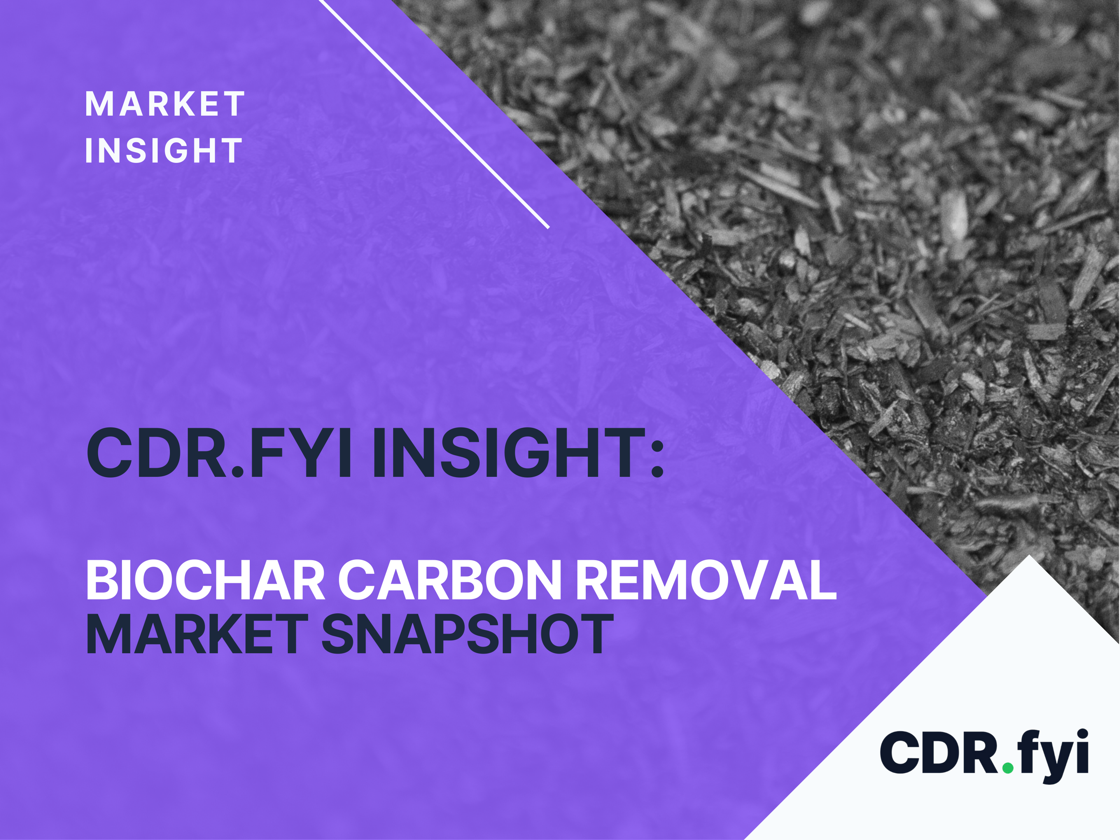 Biochar Carbon Removal Market Snapshot | 2025 blog post image