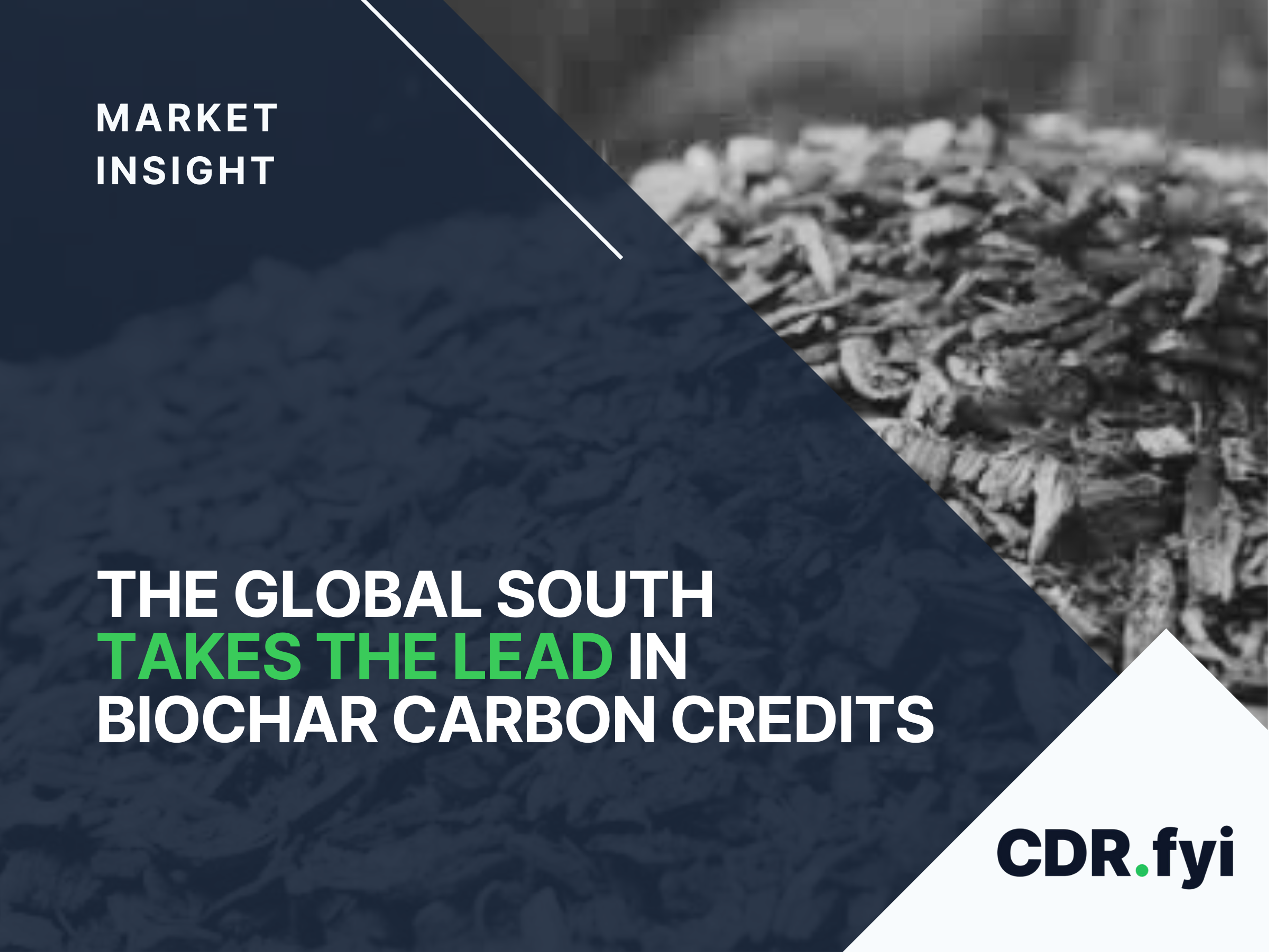 The Global South Takes the Lead in Biochar Carbon Credits blog post image