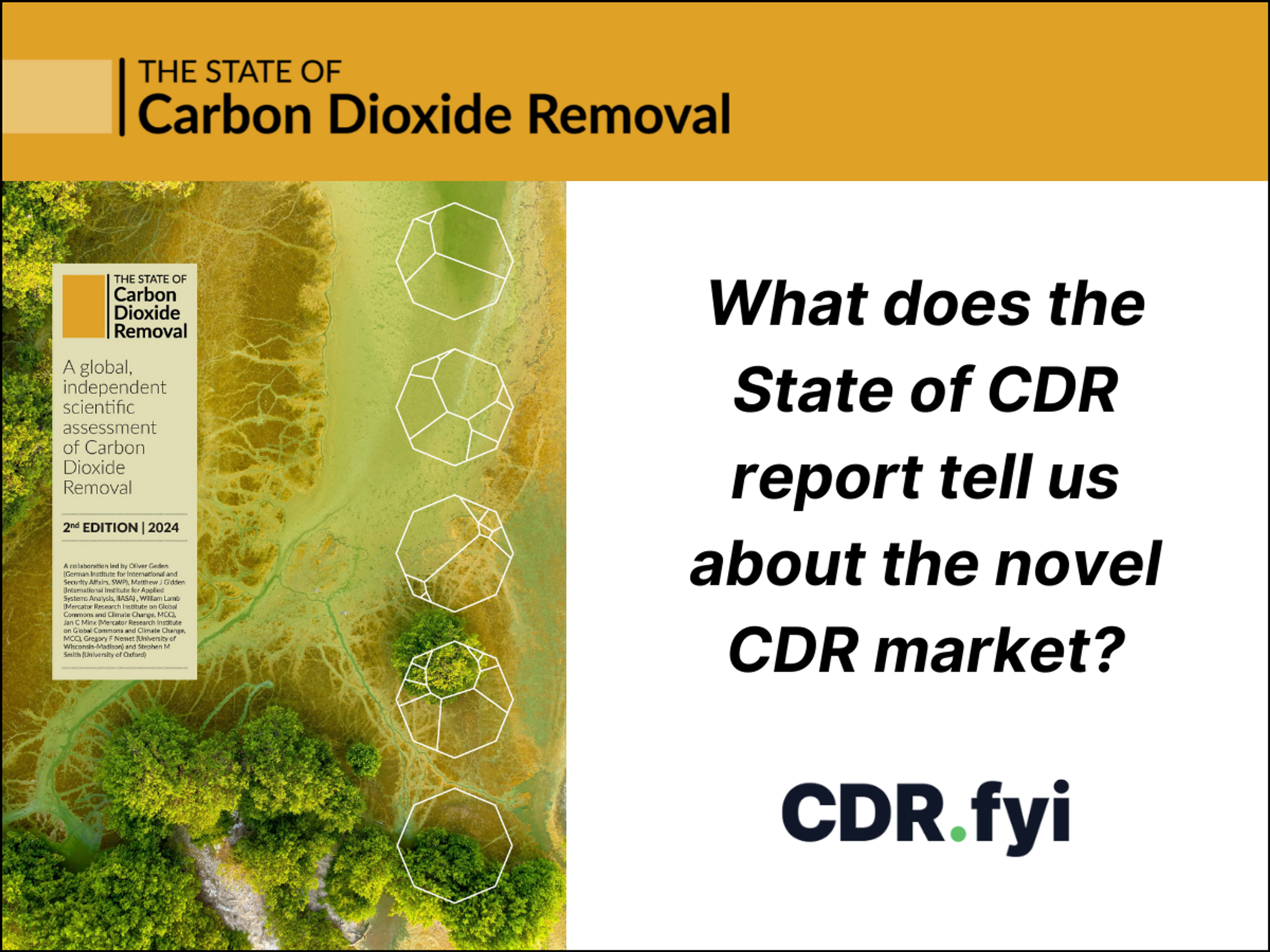 What the State of CDR Report Tells us about the Removal Market blog post image