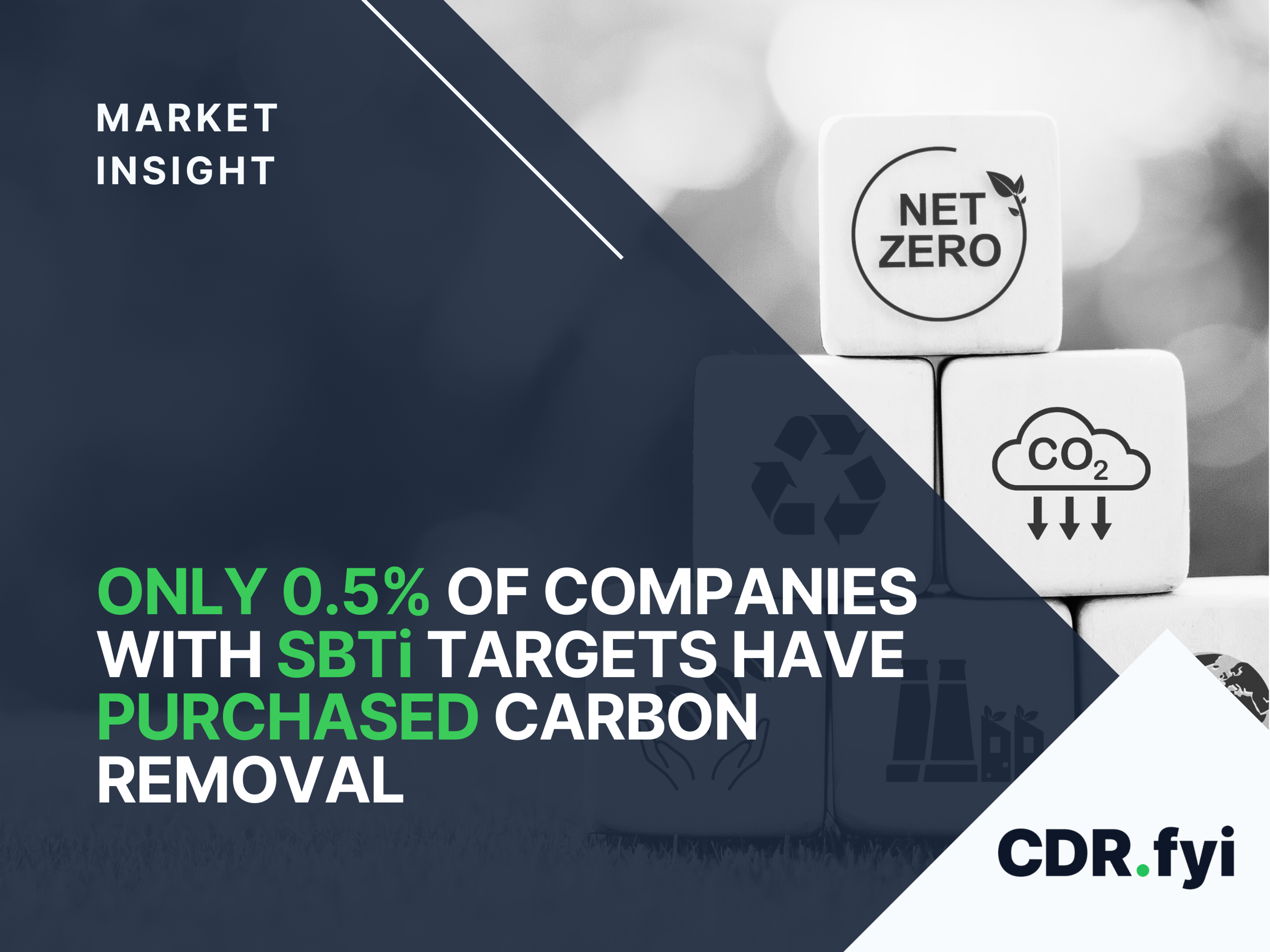 Only 0.5% of Companies with SBTi Targets Have Purchased Carbon Removal blog post image