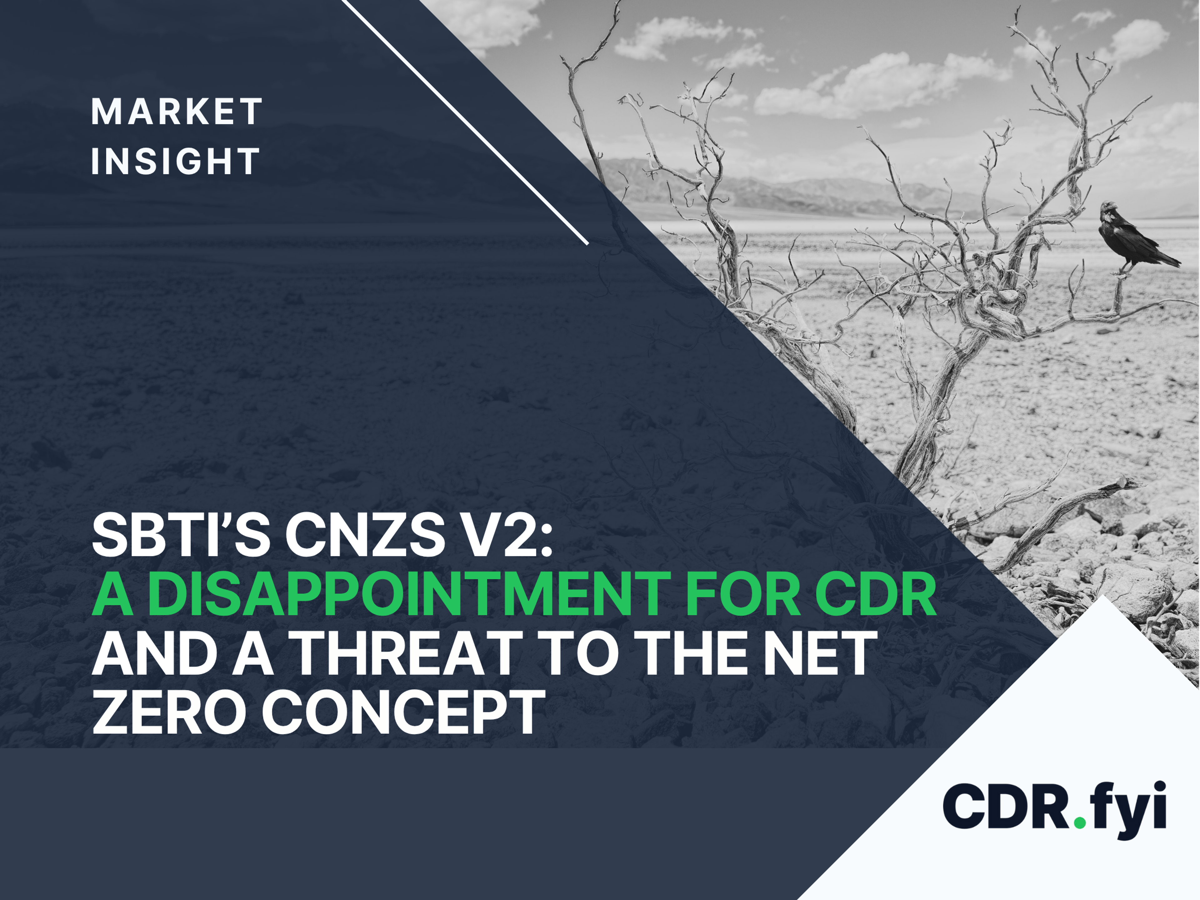 SBTi’s CNZS V2: A Disappointment for CDR and a Threat to the Net Zero Concept blog post image