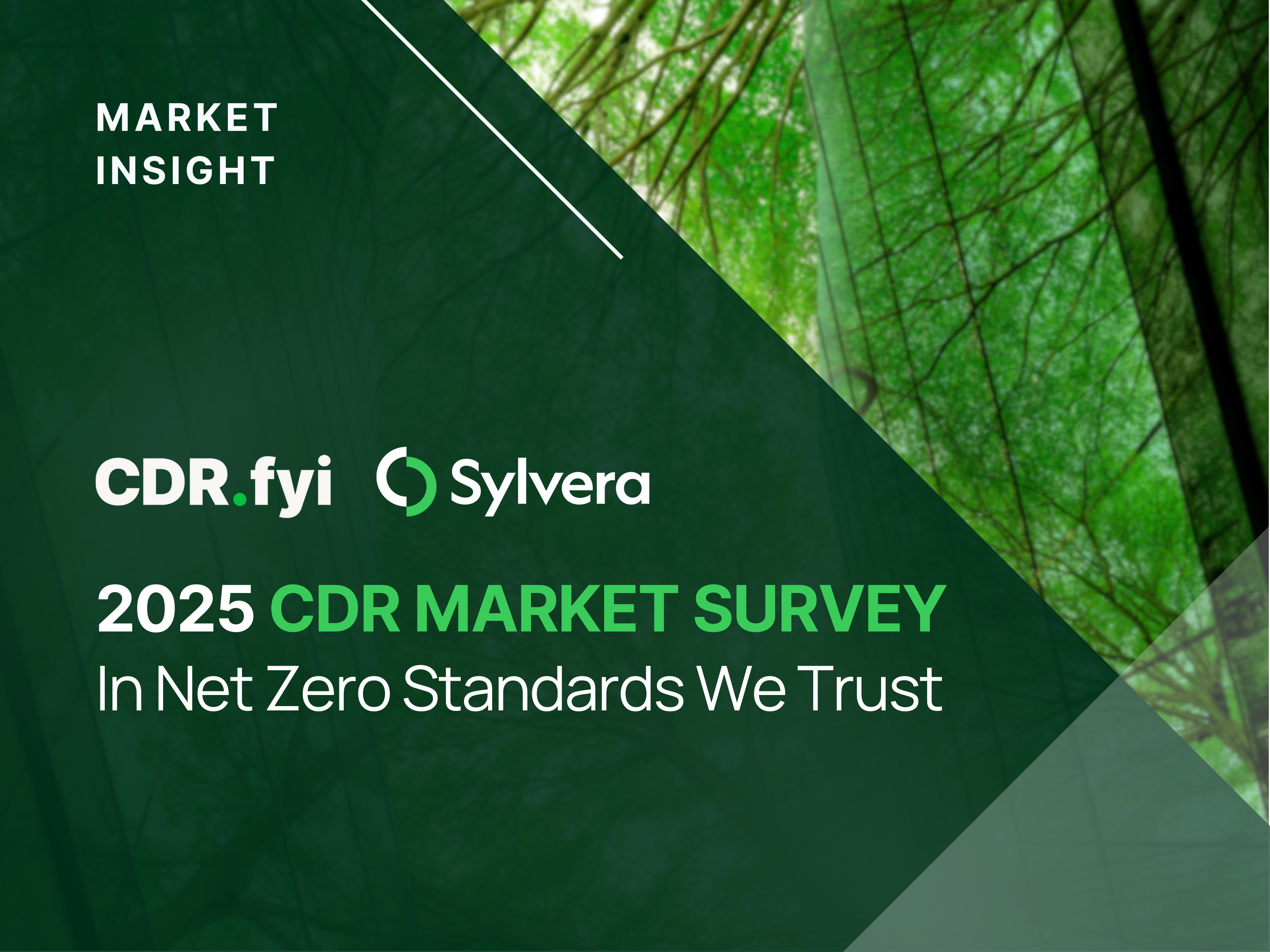 Cd R Market Map 2025 CDR Market Survey | Supply and Demand of Carbon Removals | CDR.fyi