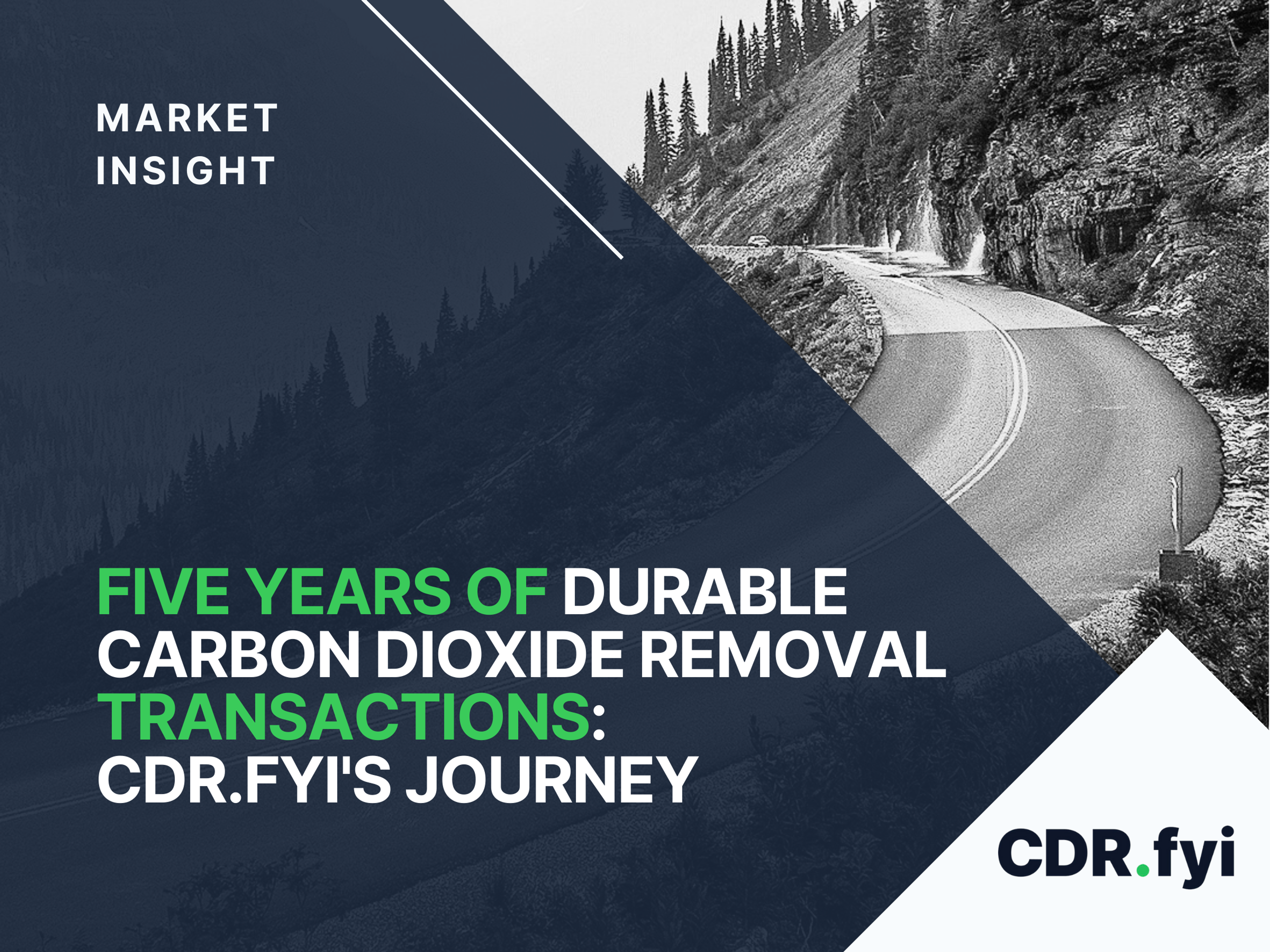 Five Years of Durable Carbon Dioxide Removal Transactions: CDR.fyi's Journey blog post image