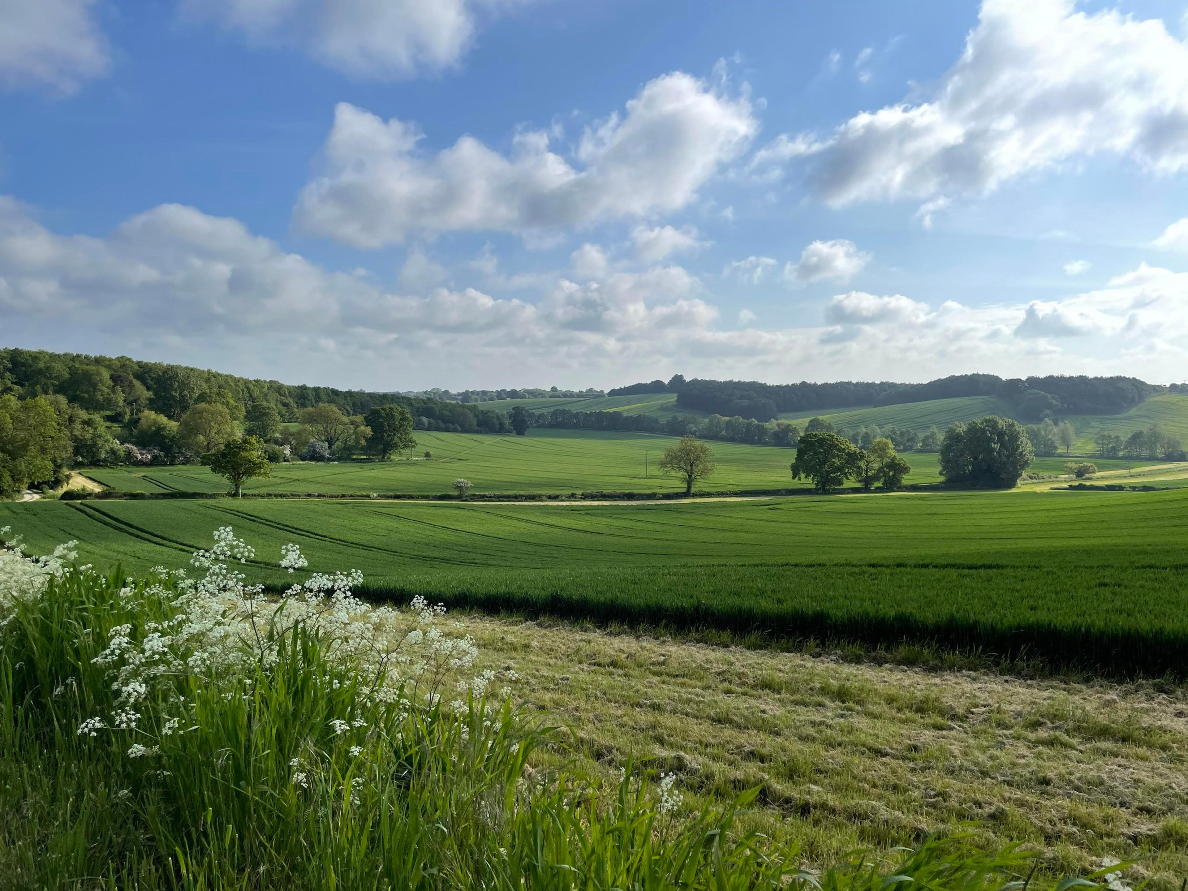Rolling hills of North Newington
