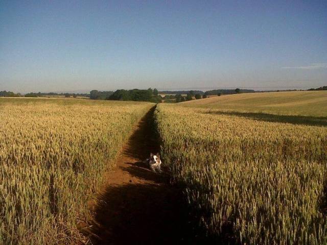 Banbury Ironstone Heritage Walk