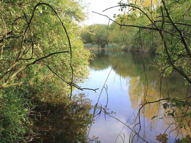 Ufton Fields Nature Reserve
