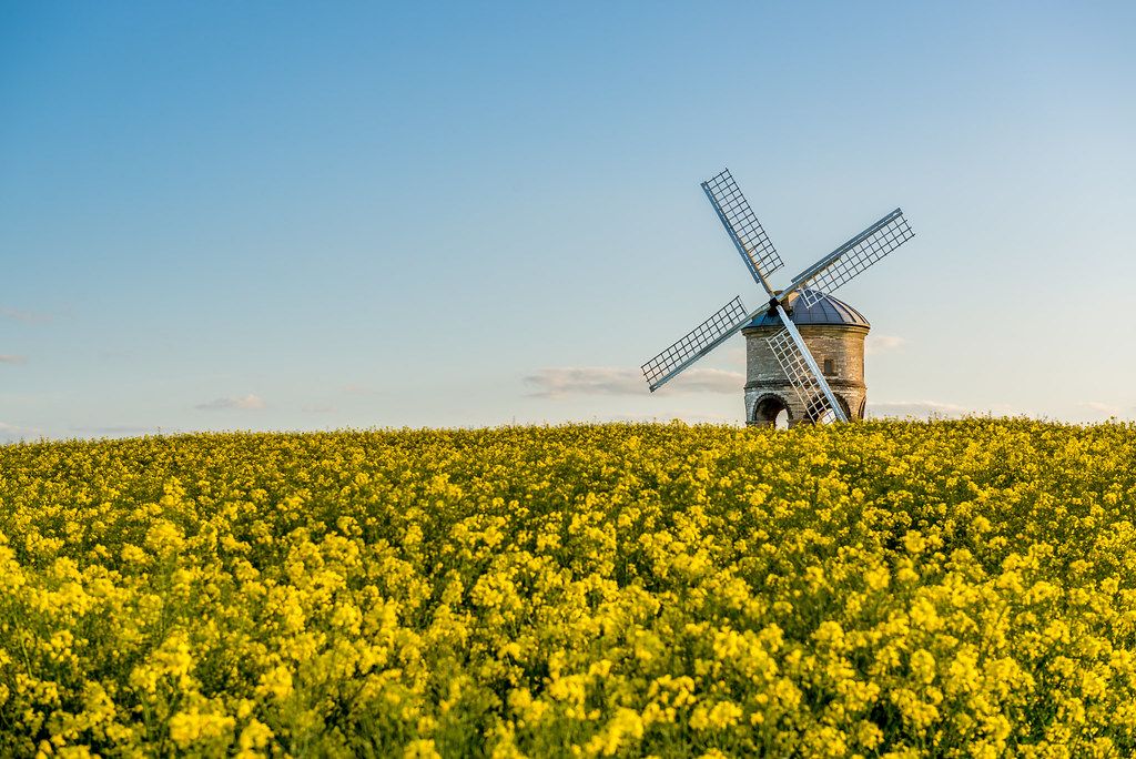 Chesterton Windmill in Summer, Southam