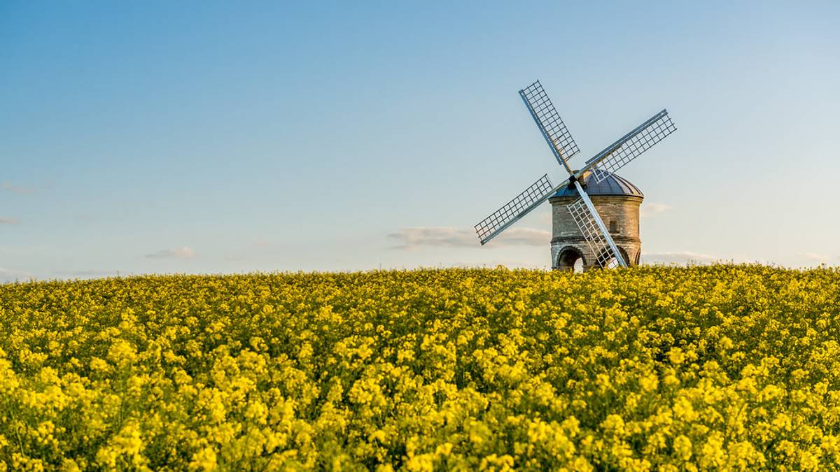 Chesterton Windmill in Summer, Southam