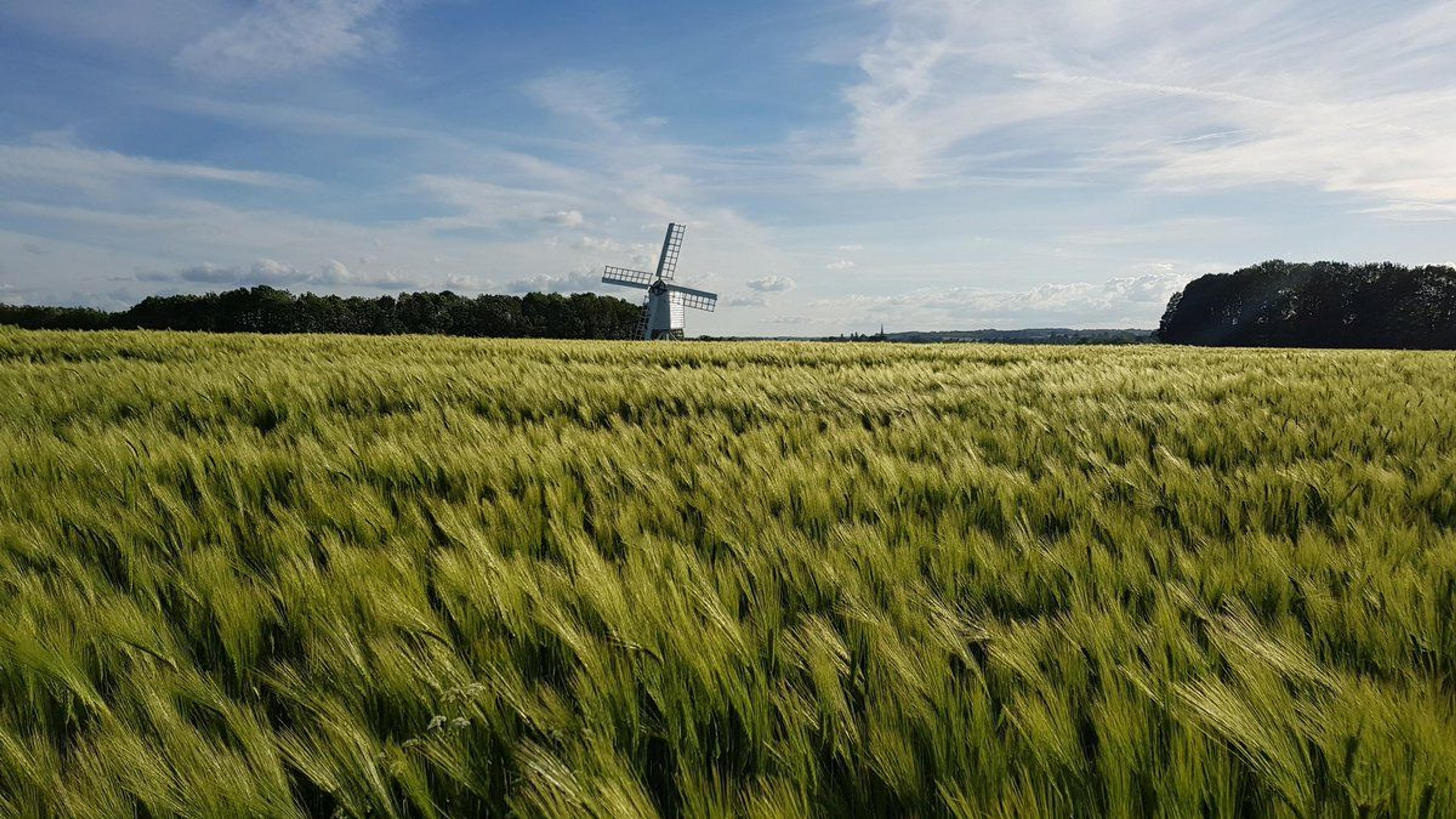 Warriner Windmill