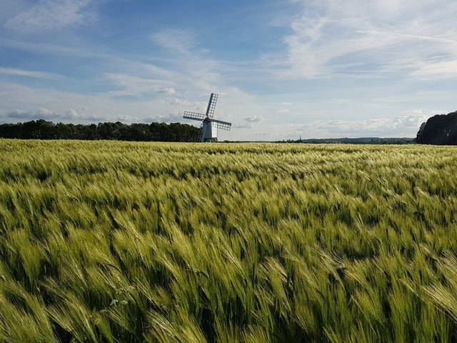 Warriner Windmill near Bloxham and Adderbury