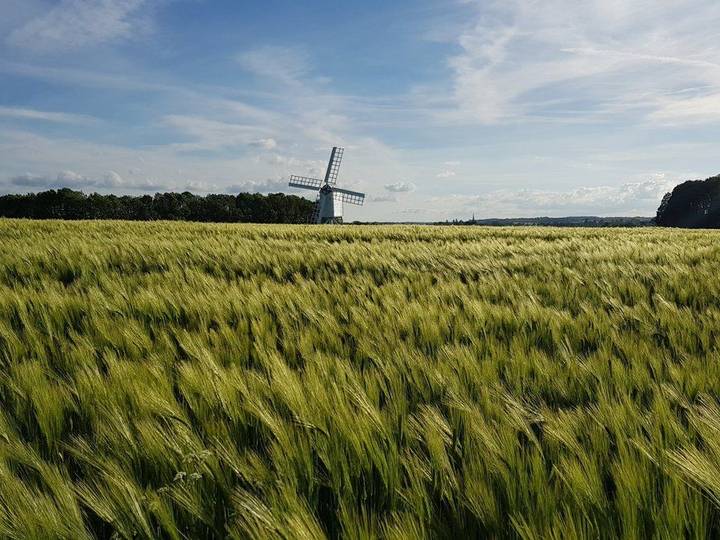 Warriner Windmill near Bloxham and Adderbury