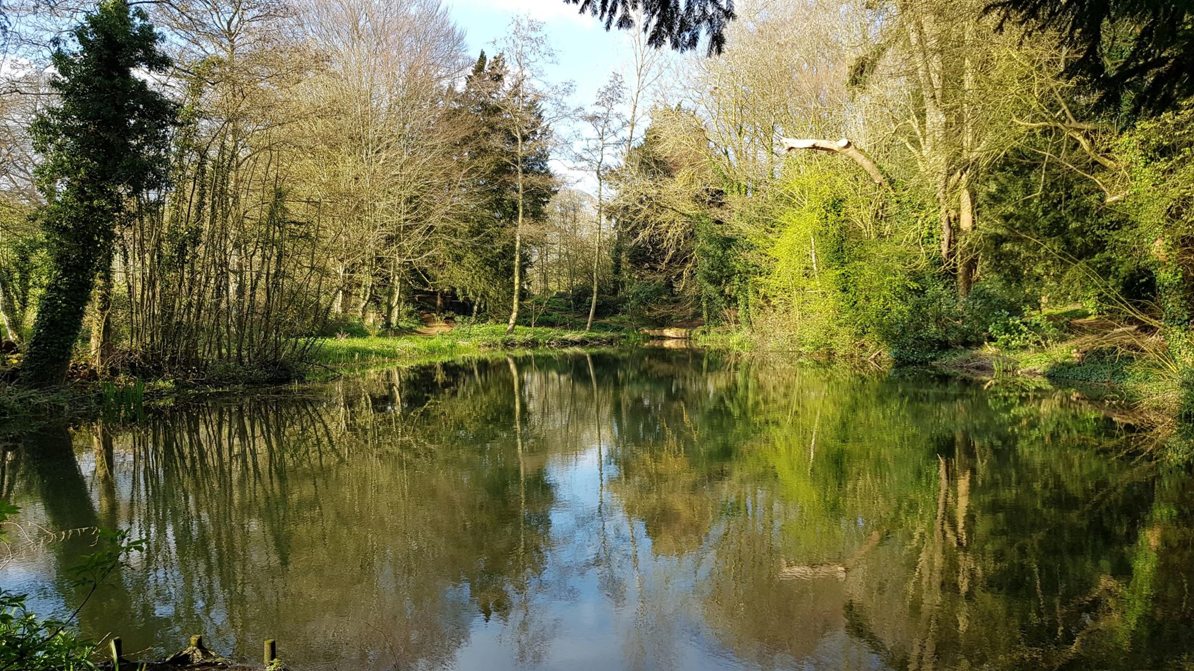 Adderbury Lakes Nature Reserve