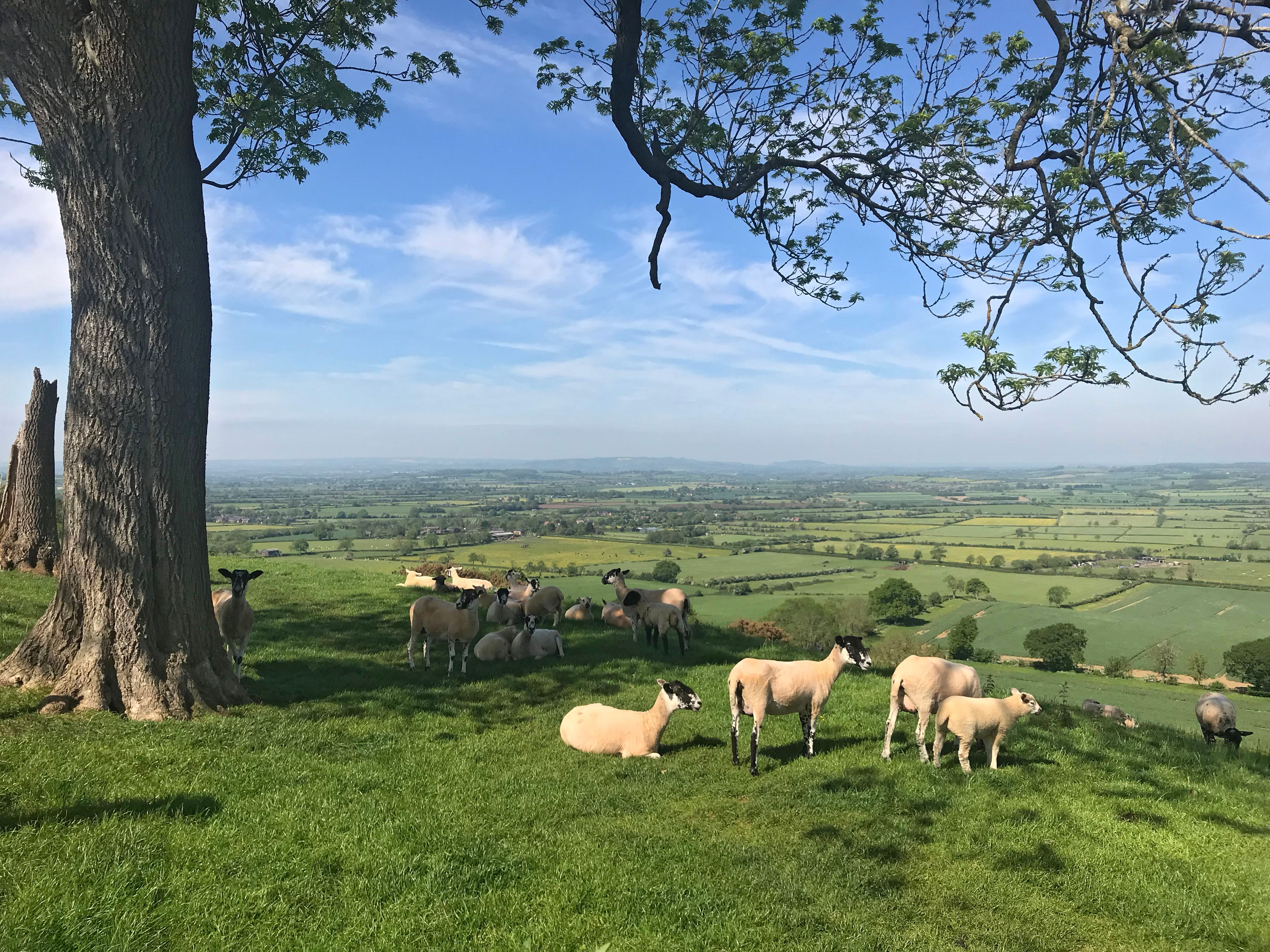 View from the top of Edge Hill, Warwickshire, England
