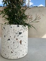 Terrazzo wit