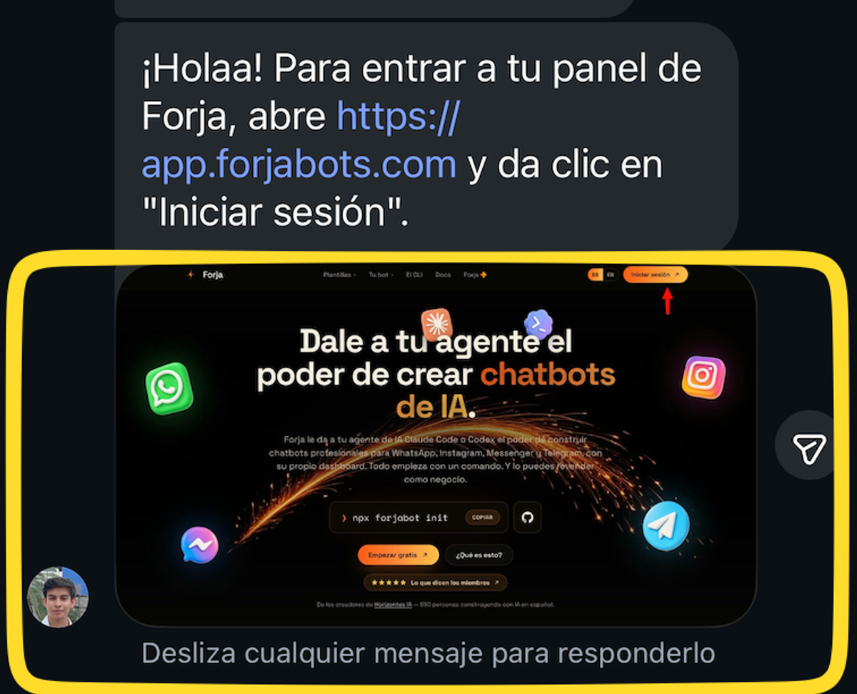 Bot de Forja mandando una imagen real en un DM de Instagram