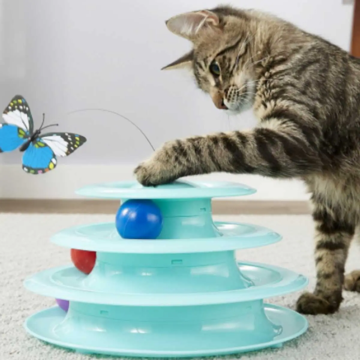 cat playing with interactive toy