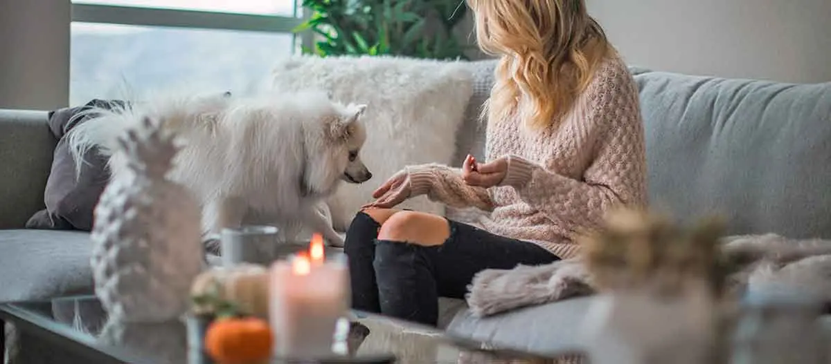 woman sitting with dog on couch
