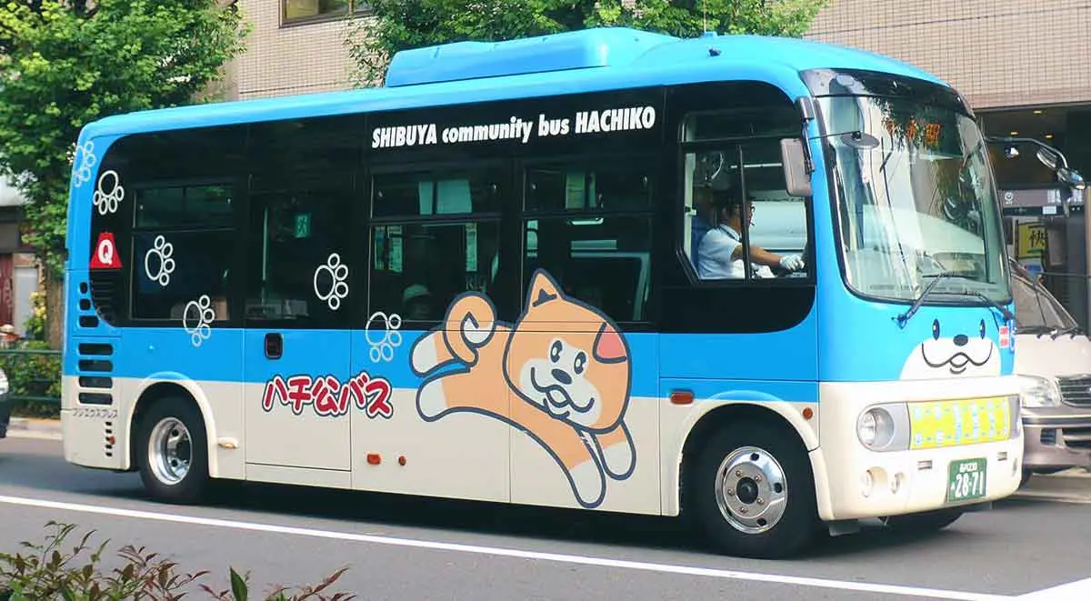 hachiko bus