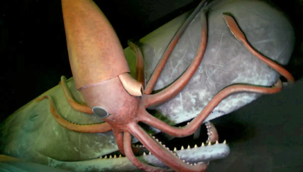 giant squid eating whale deep sea