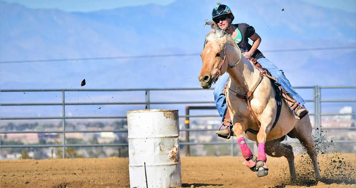 horse rider barrel racing western