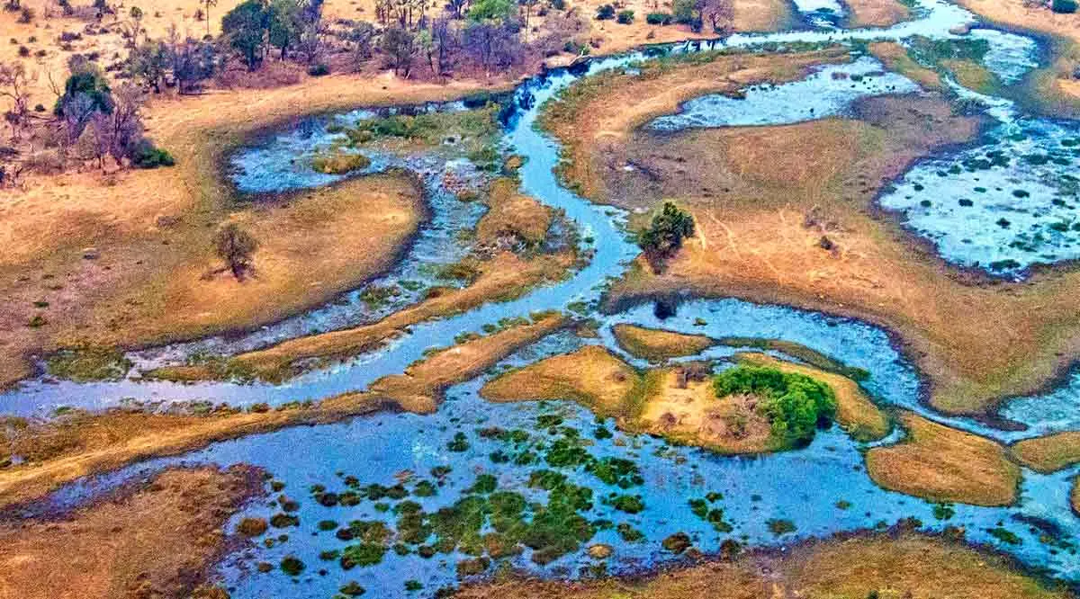 okavango delta