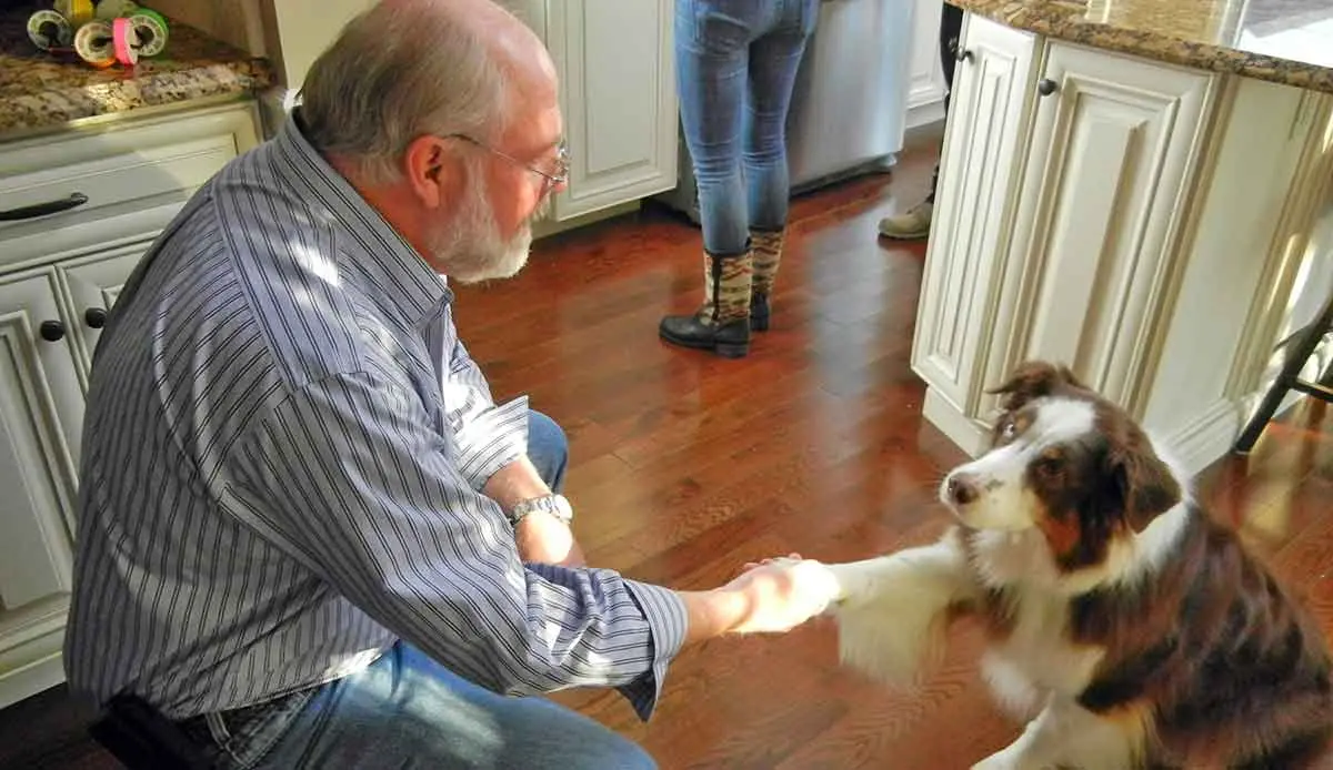 Rob Vincent meets actor dog, Ernie