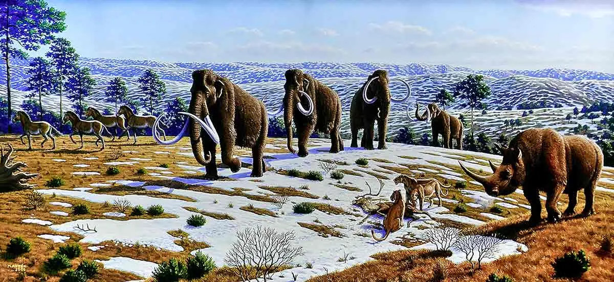 a herd of woolly mammoths in the wild