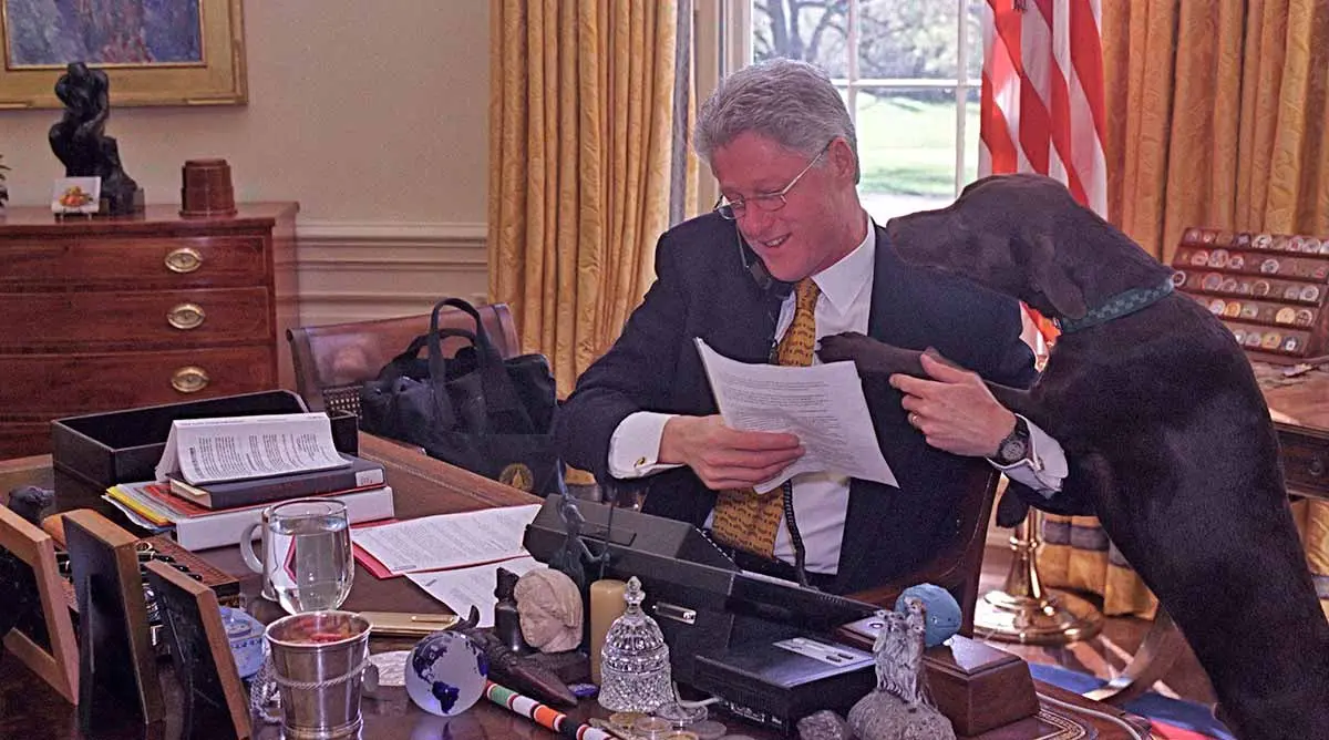 Bill Clinton on Phone With Dog