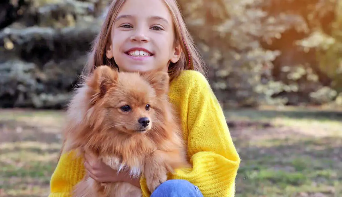 pomeranian and young girl