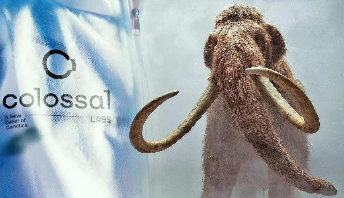 are woolly mammoths coming back