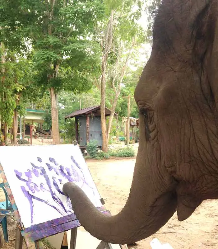 elephant painting with its trunk