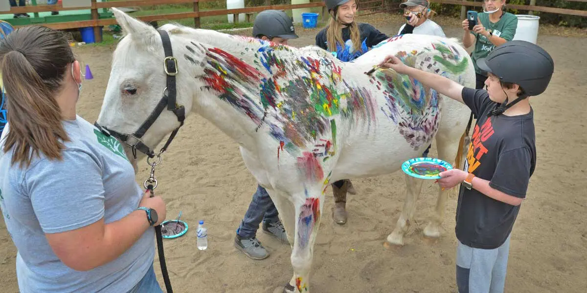 therapy horse painted by kids